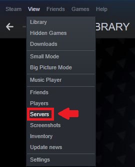 Steam servers