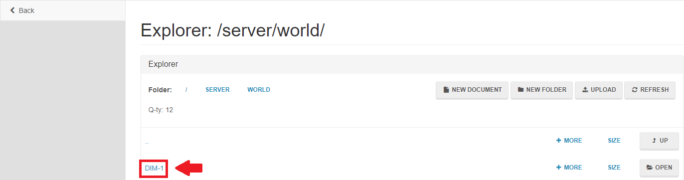 Minecraft DIM-1 world folder