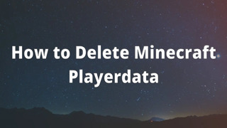 How to Delete Minecraft Playerdata