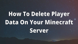 How To Delete Player Data On Your Minecraft Server