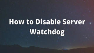 How to Disable Server Watchdog