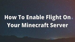 How To Enable Flight On Your Minecraft Server