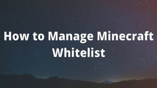 How to Manage Minecraft Whitelist