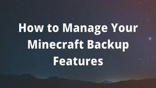 How to Manage Your Minecraft Backup Features