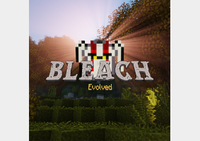 Bleach Evolved
