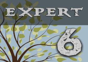 Enigmatica 6: Expert - E6E