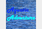 Aquatic Adventure