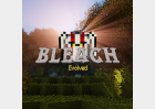 Bleach Evolved