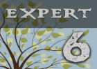 Enigmatica 6: Expert - E6E