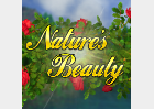 Nature's Beauty