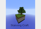 Starving Craft