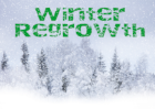 Winter Regrowth