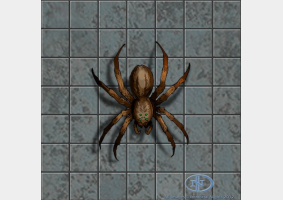 The Ruler of Spiders