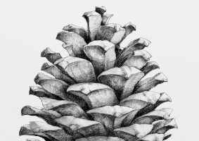 WildTrek--A More Immersive RLCraft