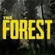The Forest